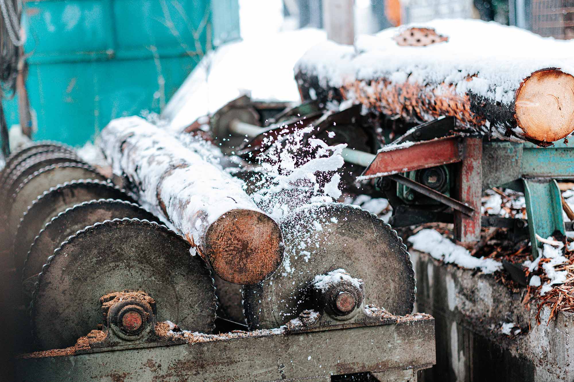 Tronc d'arbre entrain d'être scié - Scierie Saulnier